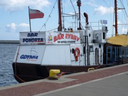 P4296642.jak-zmniejszyc-fotke_pl.jpeg