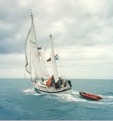 Banjer 37.jpg