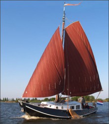 Zeeschouw_dolle_dries.jpg