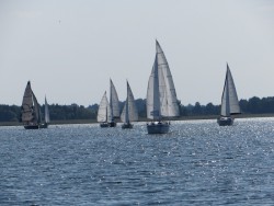 IMG_4096a.jpg