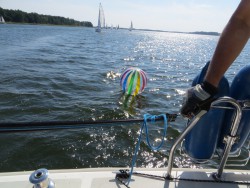 IMG_4104a.jpg