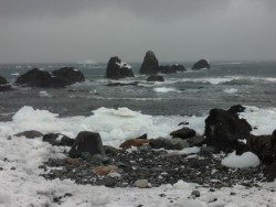 20151114_125811.jpg