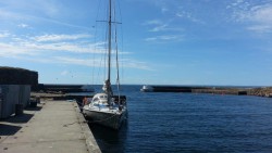 20150605_104225.jpg