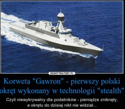 Stealth po polsku.jpg