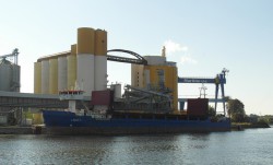 Laila I.jpg