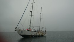 IMG_20160110_063318.jpg