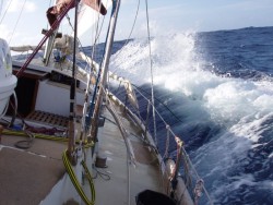PB250167.jpg