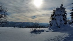 20160123_111803_resized.jpg