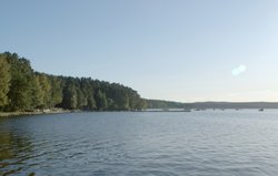 145.jpg