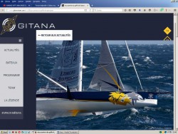 Gitana foil.jpg
