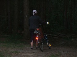poziomka1.jpg