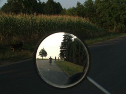 poziomka3.jpg
