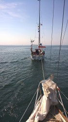 WP_20160522_11_17_00_Pro.jpg