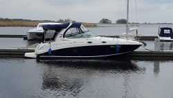 sea ray.jpg