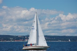 DSC_0568(1).jpg