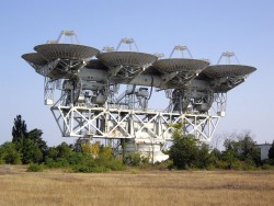 adu1000.jpg