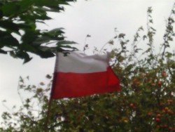 chorągiewka.jpg
