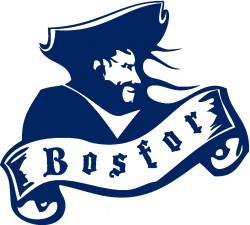 logo_bosfor logo niebieskie-01.jpg