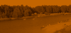 omegi 2.gif