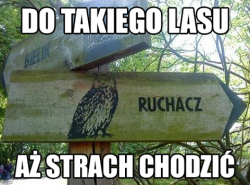 _ruch.png