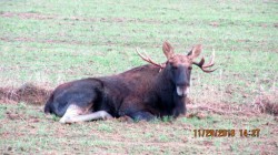 IMG_8167.JPG