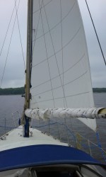 20170529_113358.jpg