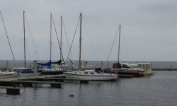20170529_142546.jpg
