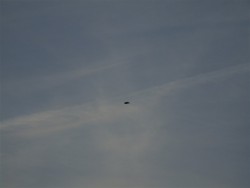 290415_1856.jpg