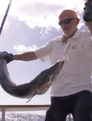 Baracuda1.jpg