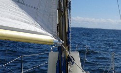 20170705_161414.jpg