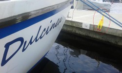 20170708_114204.jpg