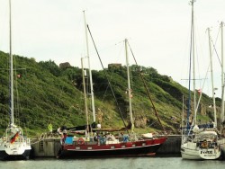 W Hammerhavn.jpg