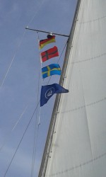 20170819_083616.jpg
