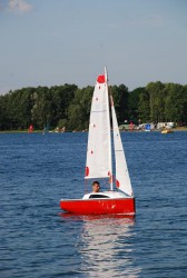 230.jpg