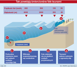 tsunami460.jpg