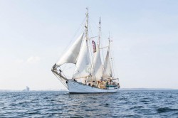 zawisza-czarny_739587.jpg