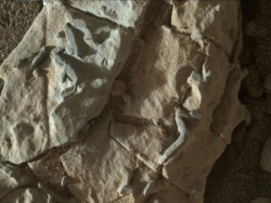 mars bact.jpg
