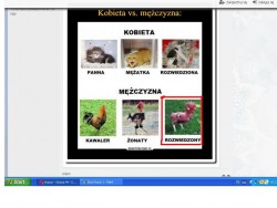 Miałem na myśli alimenty i podział majątku po rozwodzie..JPG