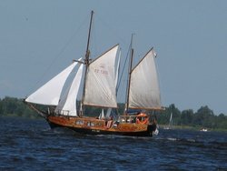 IMG_5563.jpg