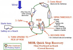 mobqs2.jpg