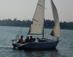 sportina 595   fux.jpg
