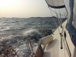 20170820_181427.jpg