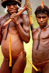 papua2.jpg