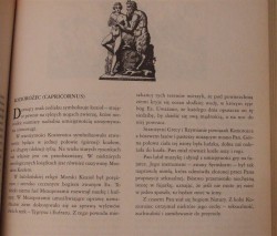 Koziorożec.jpg