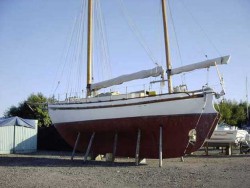 Colin13P1.jpg