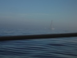 DSCF2576.JPG
