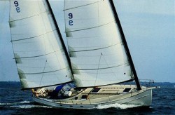 freedom_44_photo.jpg