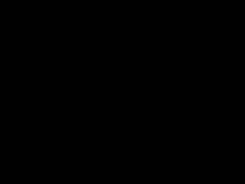 kokpit_kurczak_i_micus.jpg