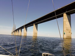 20180602_121440.jpg