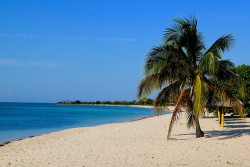 beach-2356300__340.jpg